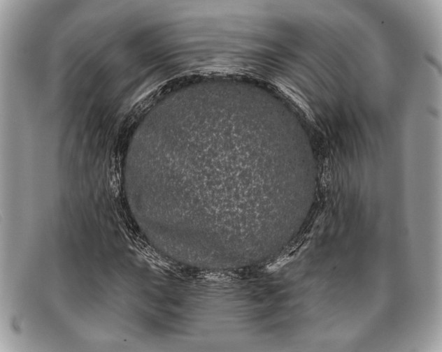 X0000098011015200804111227