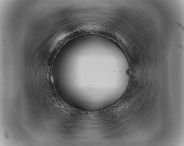 X0000098011016200804111227