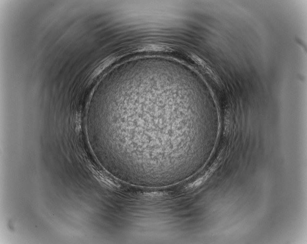 X0000098011017200804111227