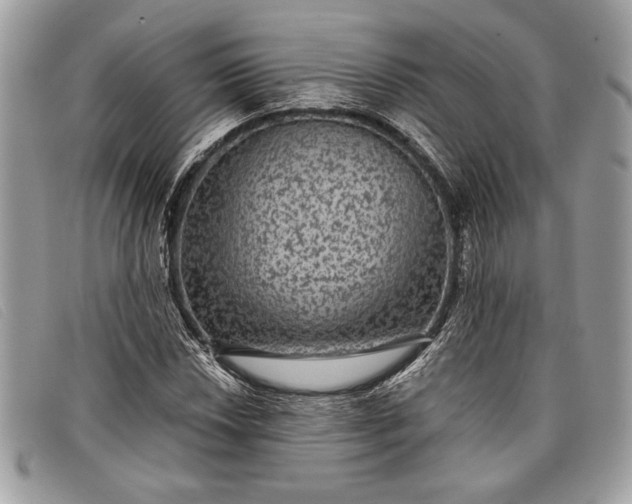 X0000098011018200804111227