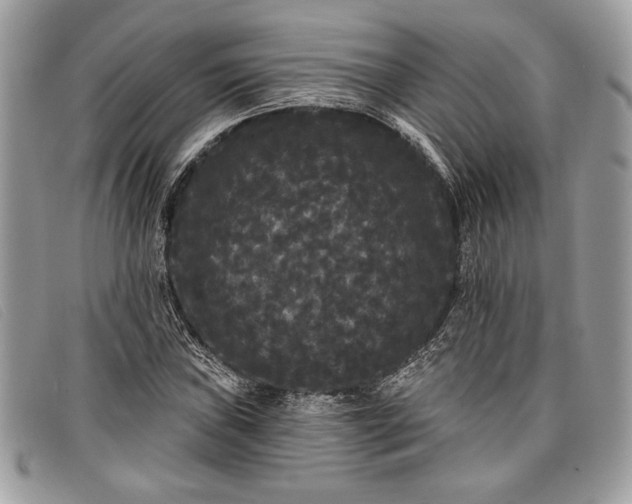 X0000098011019200804111227