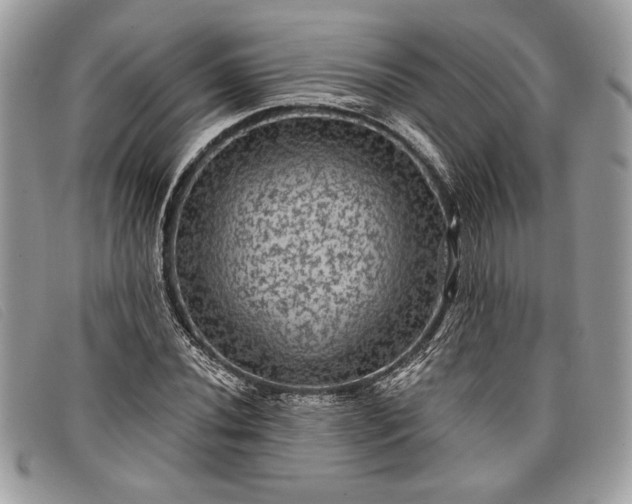 X0000098011020200804111227