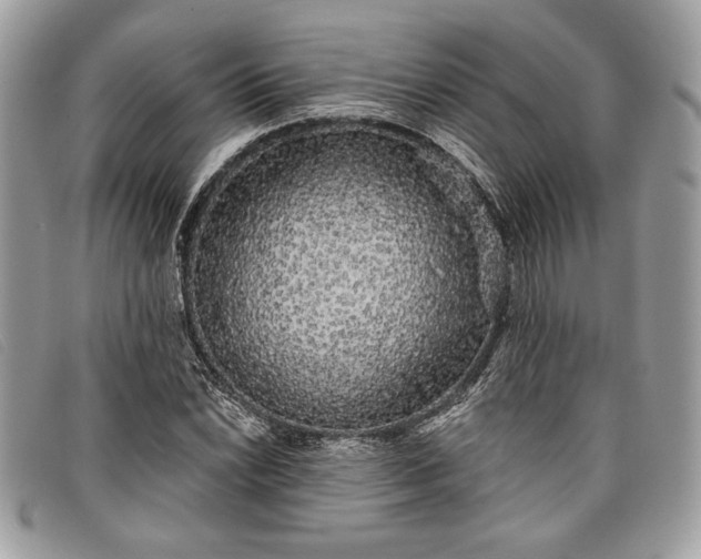 X0000098011022200804111227