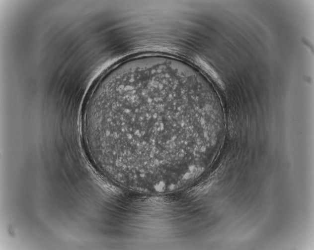 X0000098011028200804111227