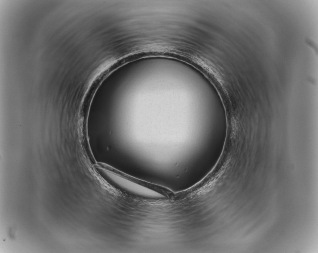 X0000098011029200804111227