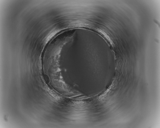 X0000098011031200804111227