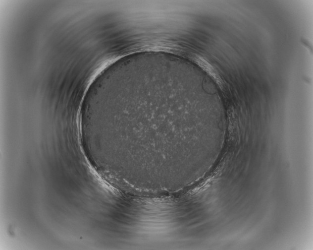 X0000098011032200804111227