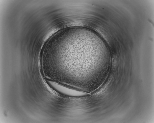 X0000098011034200804111228