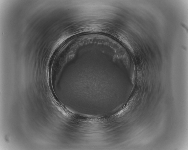 X0000098011035200804111228