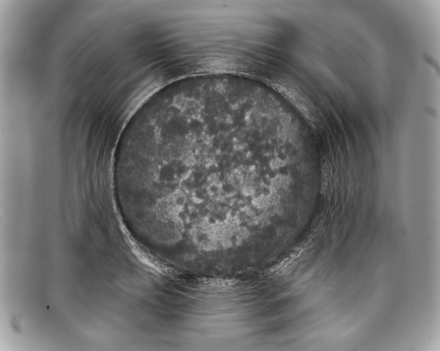 X0000098011039200804111228