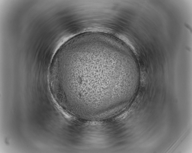 X0000098011040200804111228