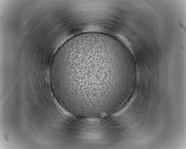 X0000098011041200804111228