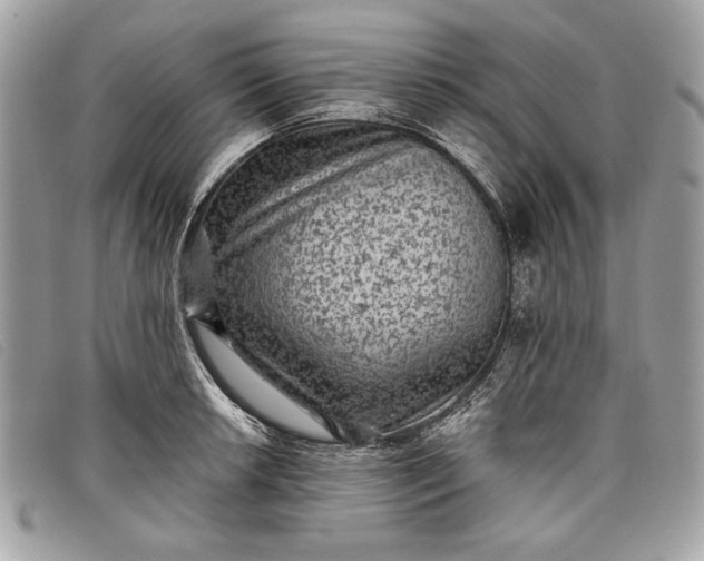 X0000098011042200804111228