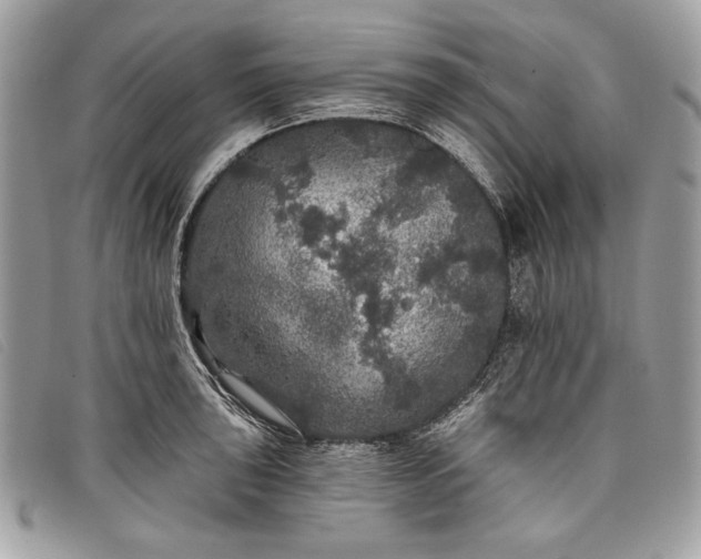 X0000098011043200804111228