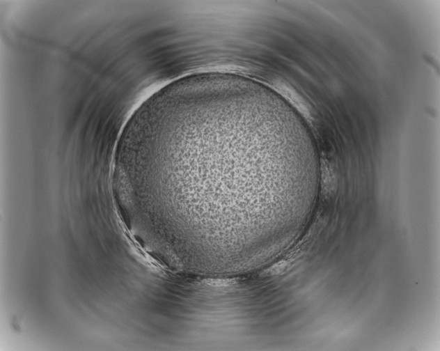 X0000098011044200804111228