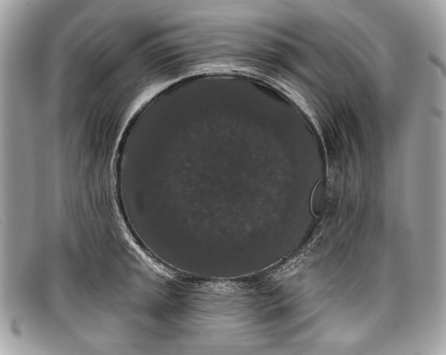 X0000098011045200804111228