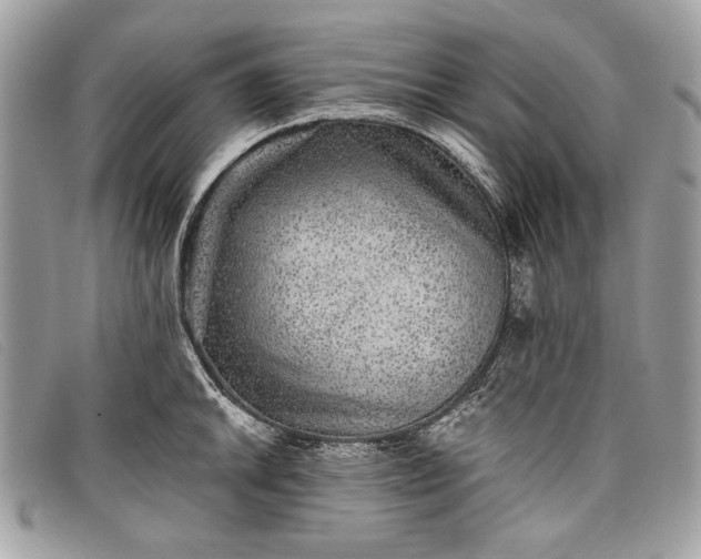 X0000098011046200804111228