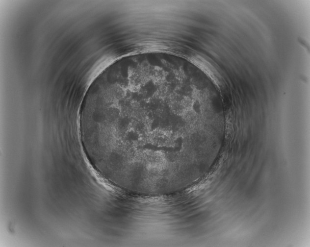 X0000098011047200804111228