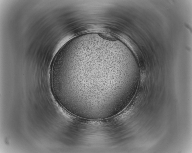 X0000098011050200804111228