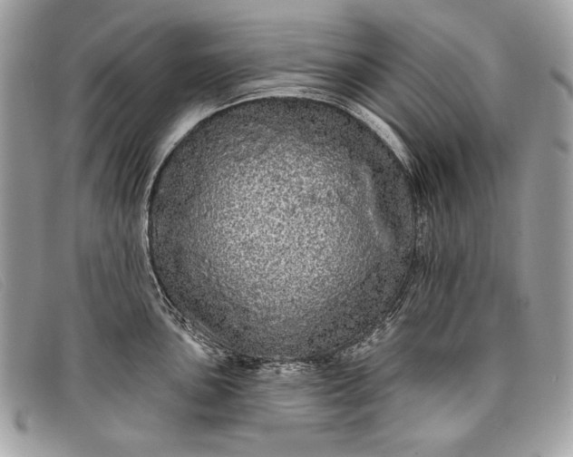 X0000098011051200804111228