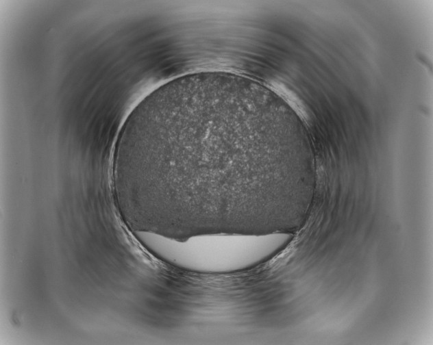 X0000098011052200804111228