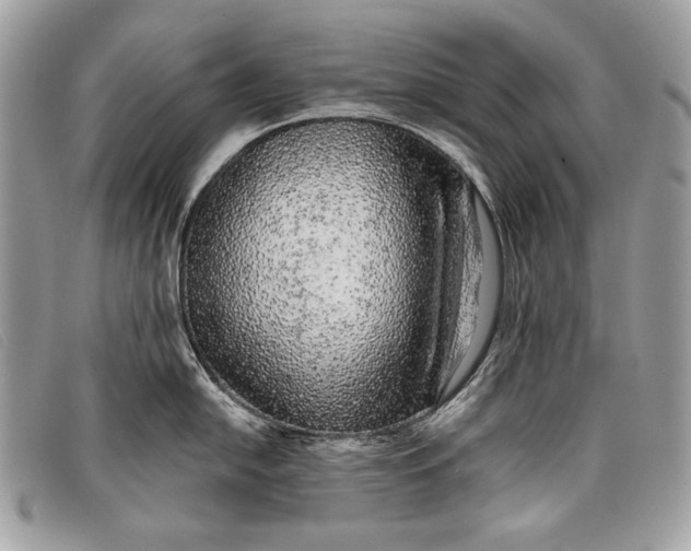 X0000098011054200804111228