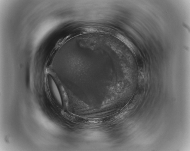 X0000098011055200804111228