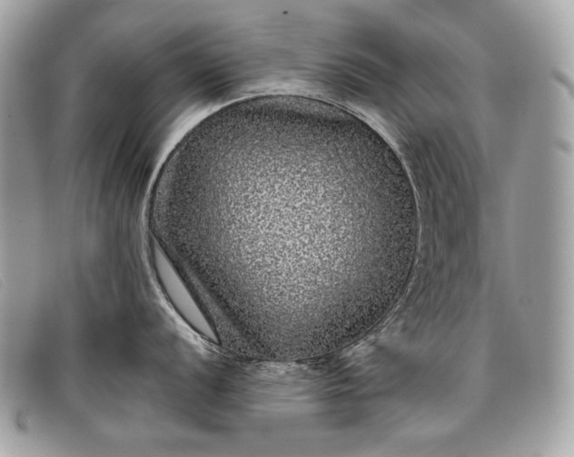 X0000098011056200804111228