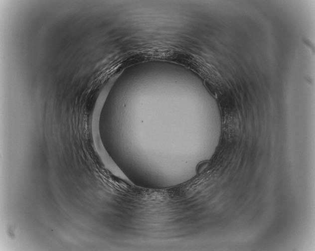 X0000098011058200804111227