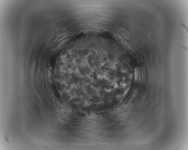 X0000098011059200804111227