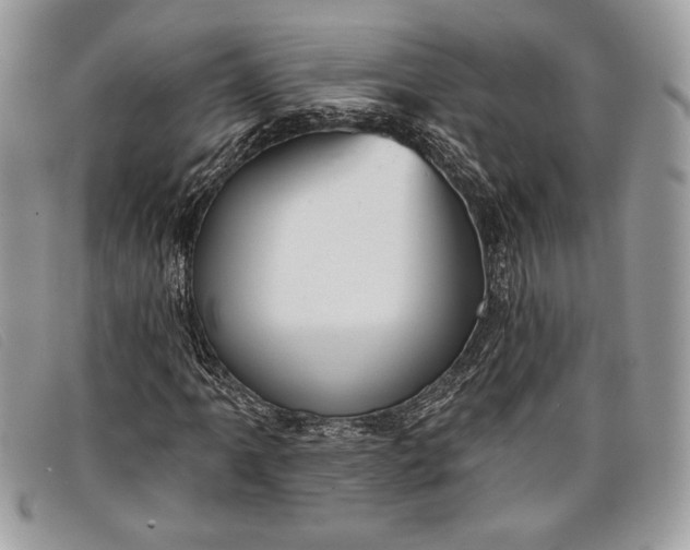 X0000098011061200804111227