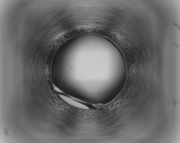 X0000098011062200804111227