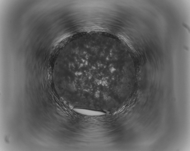 X0000098011063200804111227