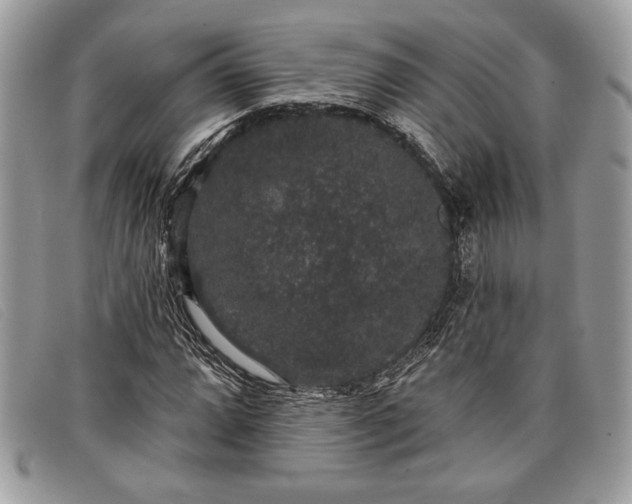 X0000098011064200804111227