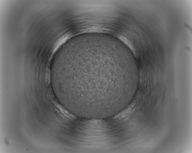 X0000098011067200804111227