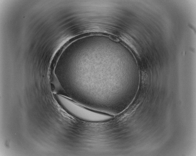 X0000098011068200804111227