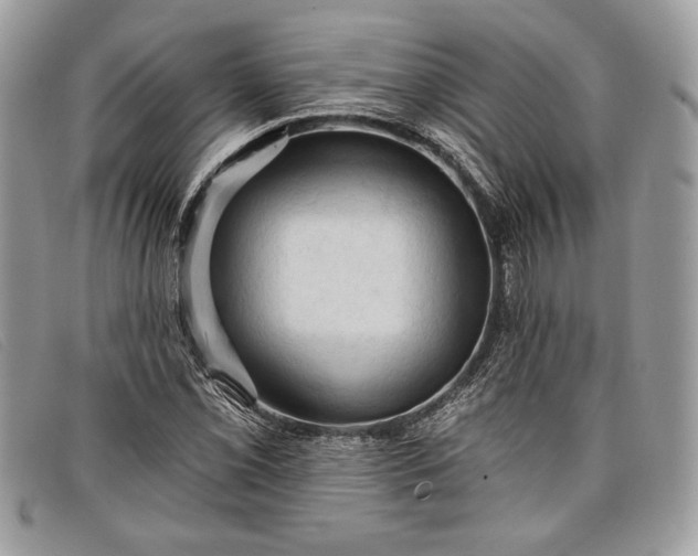 X0000098011069200804111227