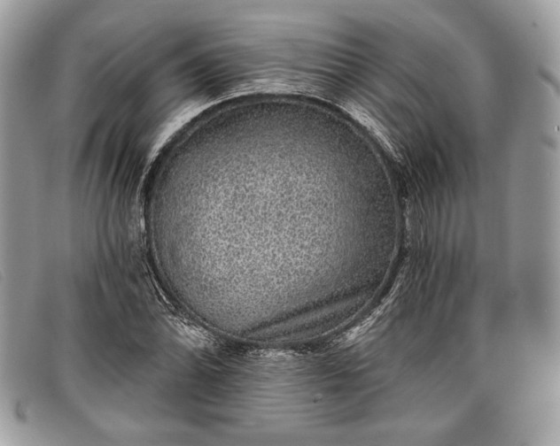 X0000098011070200804111227