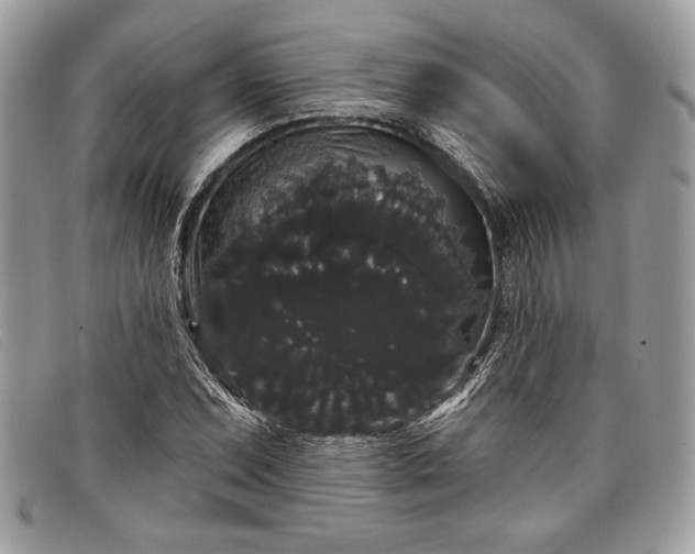 X0000098011071200804111227