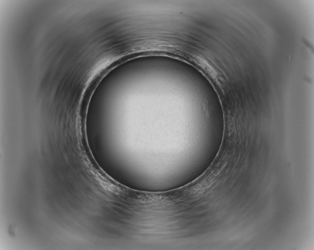 X0000098011072200804111227