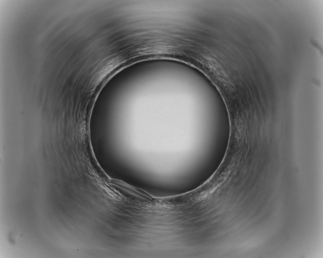 X0000098011073200804111227