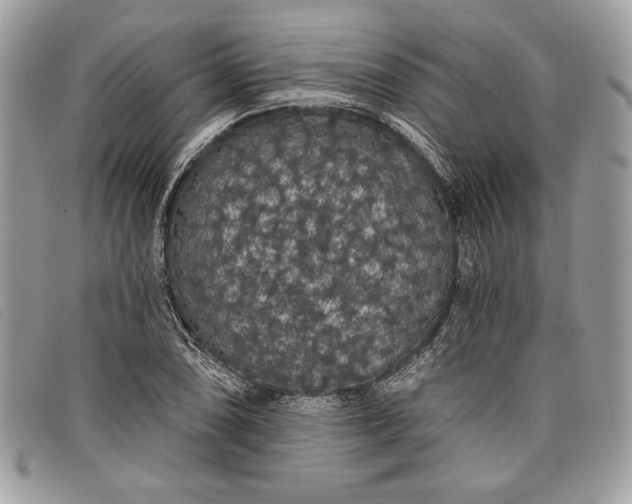 X0000098011074200804111227