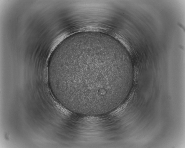 X0000098011075200804111227