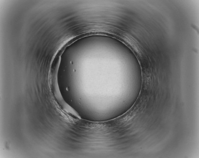 X0000098011076200804111227