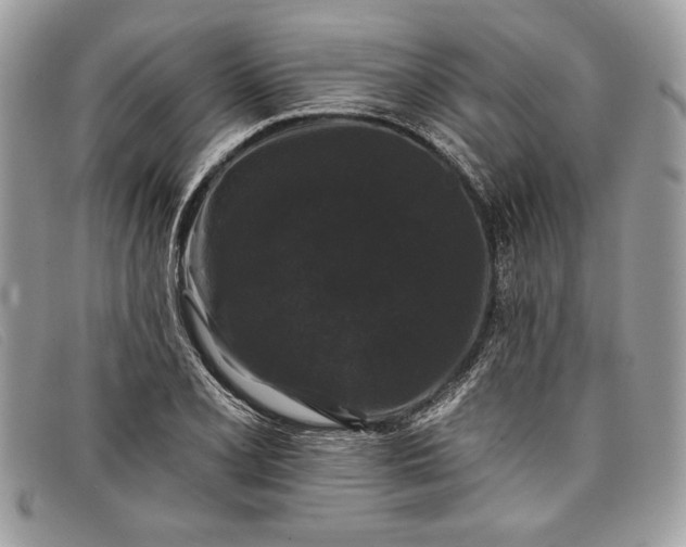 X0000098011077200804111227