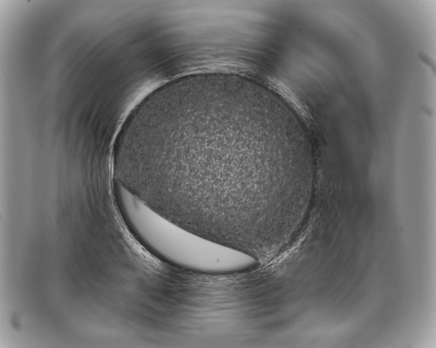 X0000098011079200804111227