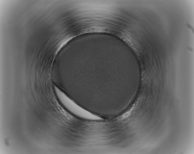 X0000098011081200804111227