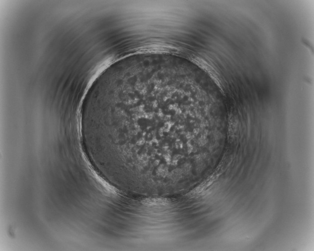 X0000098011083200804111227