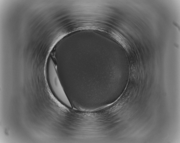 X0000098011084200804111227