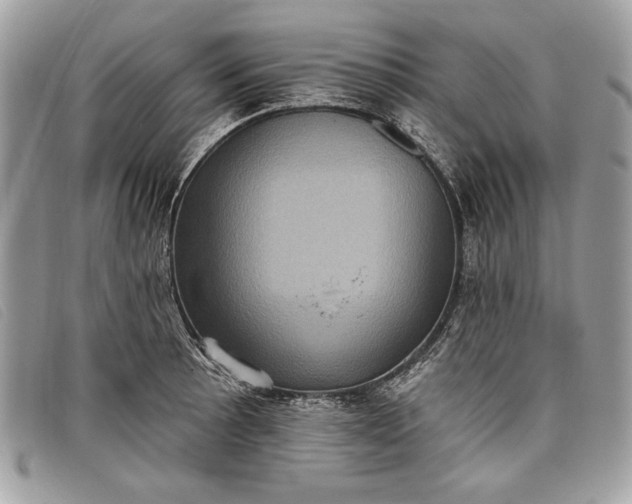 X0000098011089200804111227